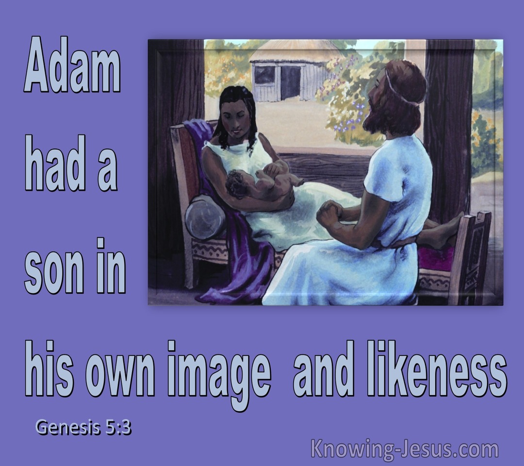 Genesis 5:3 Adam Was The Father Of Seth (white)